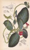 84428EB