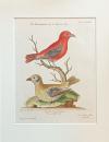 890AB