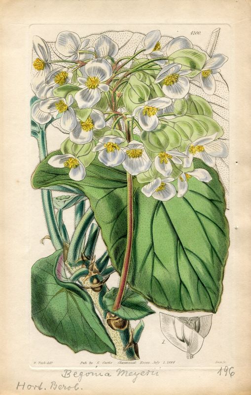 71128E