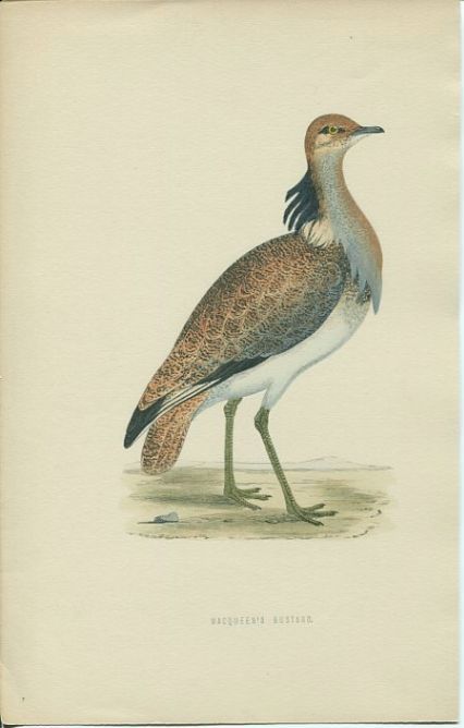 71187E
