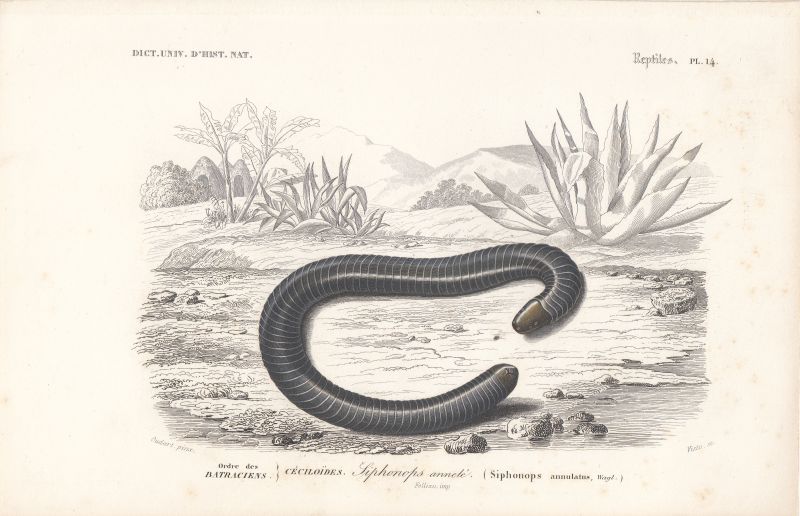 83717E