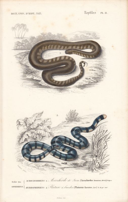 83727e