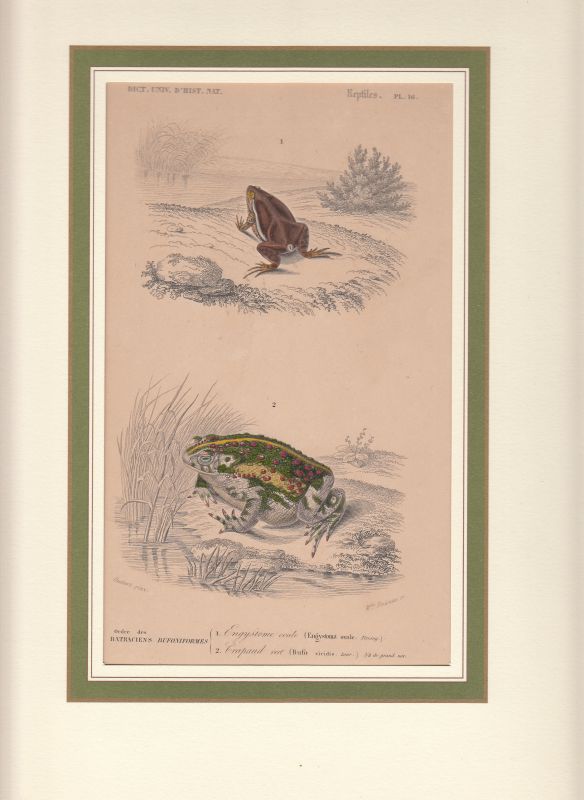 83742EB