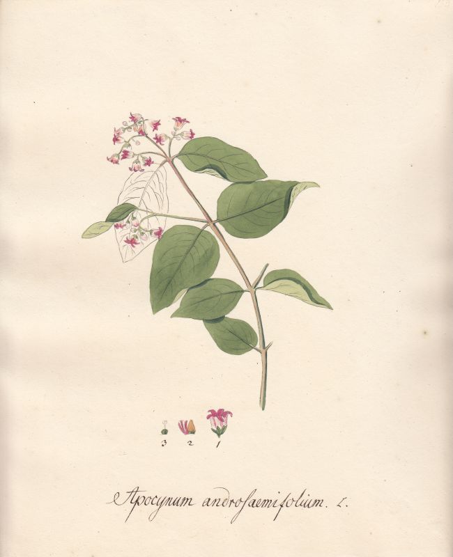 84362EB
