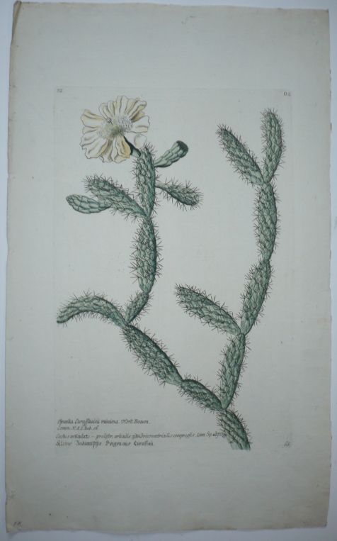 85442EB