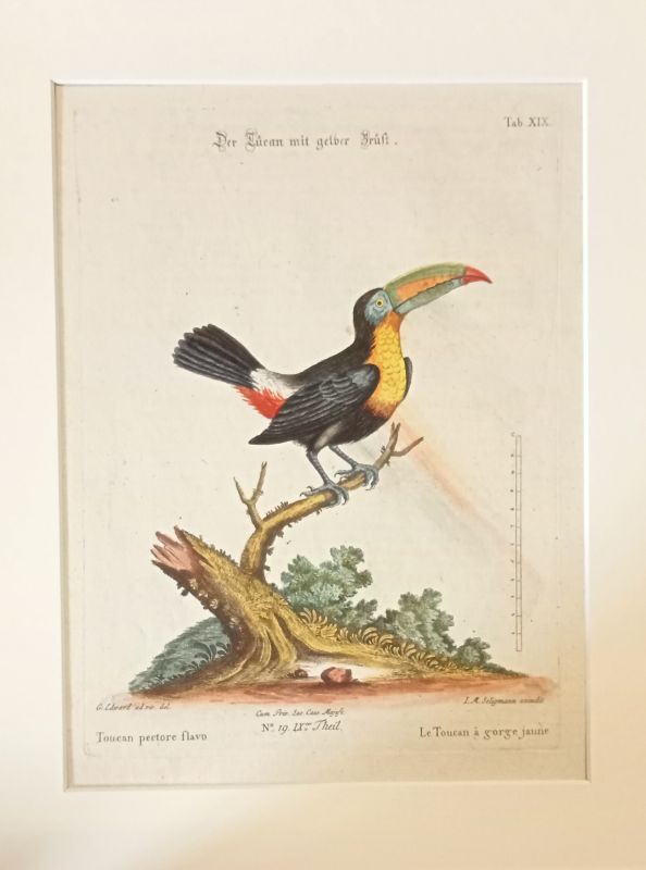 876AB