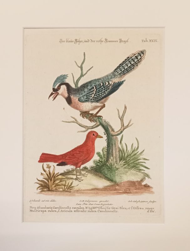 896AB
