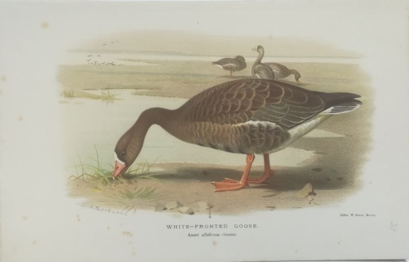 92695EB