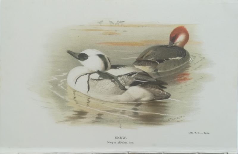 92704EB