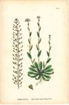 78513E