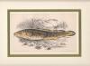 83589e