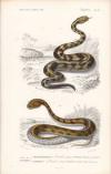 83731e