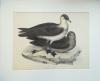 92553EB